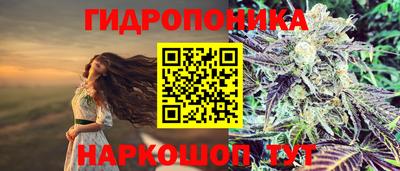 не бодяженный Нальчик