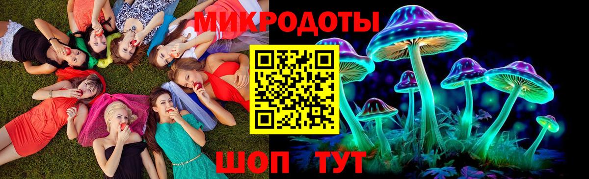 Фрязино  Псилоцибиновые грибы Psilocybe  Вход с VPN 