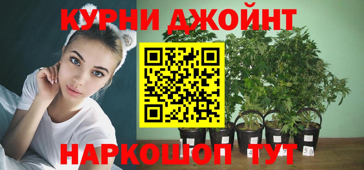 Фрязино  Шишки марихуана Amnesia  Вход с VPN  Конопля Ganja 